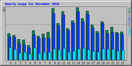 Hourly usage for December 2016