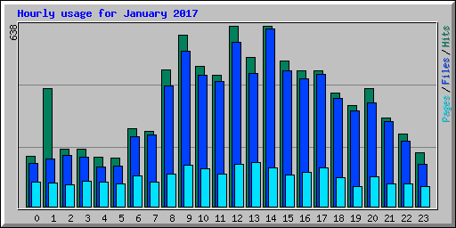 Hourly usage for January 2017